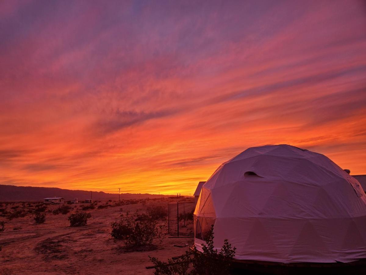The Kosmic Tortoise Hotell Twentynine Palms Eksteriør bilde
