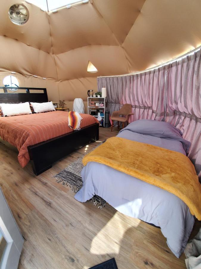 The Kosmic Tortoise Hotell Twentynine Palms Eksteriør bilde