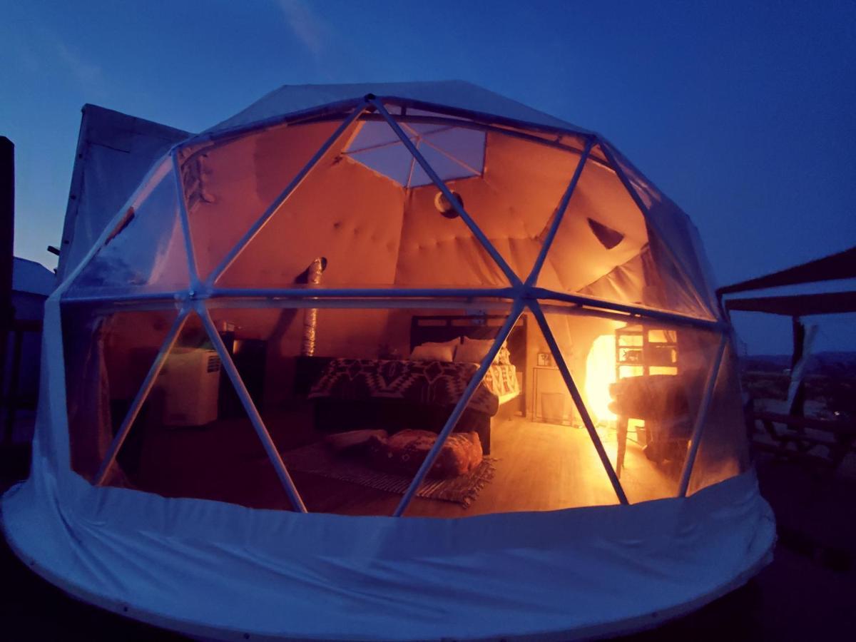 The Kosmic Tortoise Hotell Twentynine Palms Eksteriør bilde